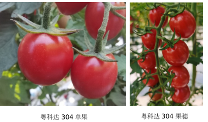微信图片_20221230154418.png