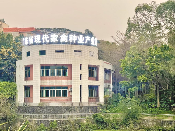 图片8.png