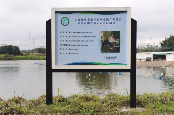 图片10.png