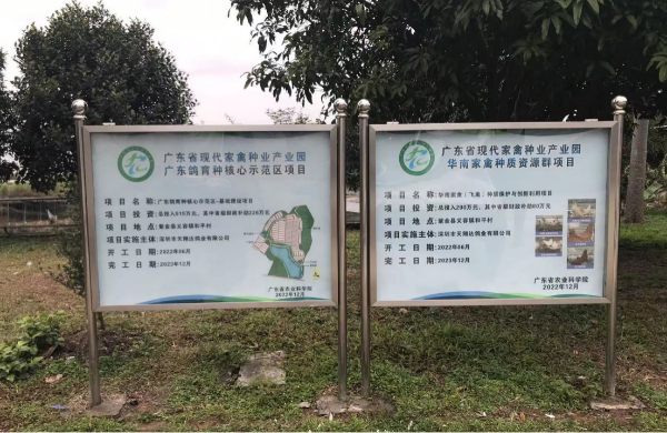图片12.png