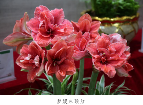 微信图片_20230330153309.png