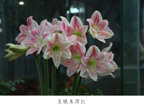 微信图片_20230330153318.png