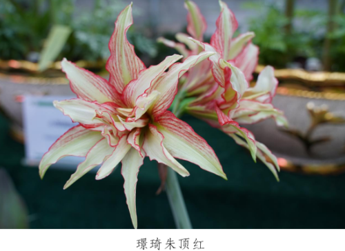 微信图片_20230330153325.png