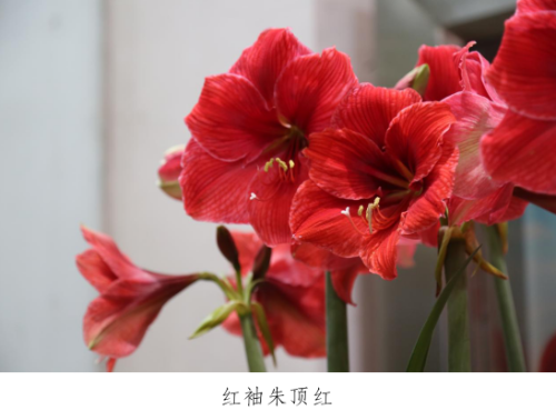 微信图片_20230330153330.png