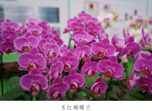 微信图片_20230330153335.png