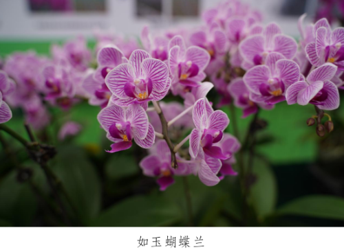 微信图片_20230330153340.png