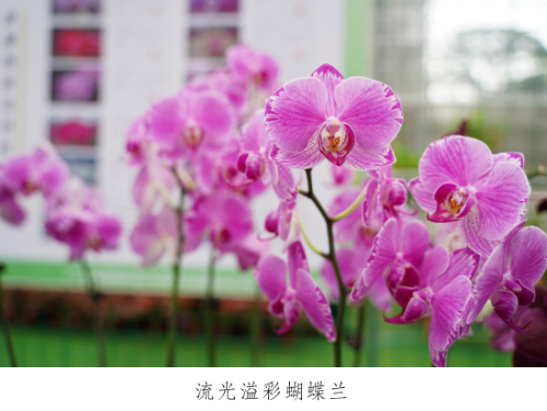 微信图片_20230330153345.png