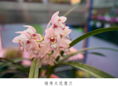 微信图片_20230330153351.png