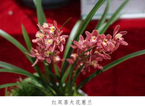微信图片_20230330153355.png