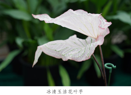 微信图片_20230330153406.png