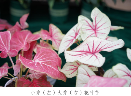 微信图片_20230330153416.png