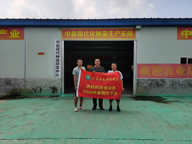 图片说明