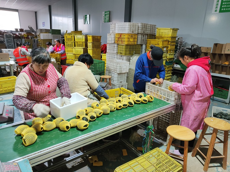 图片说明