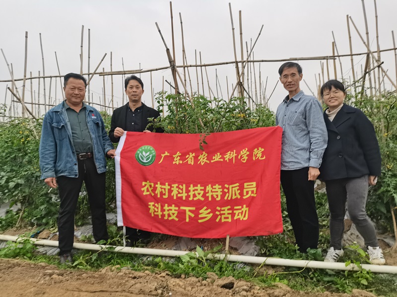 图片说明
