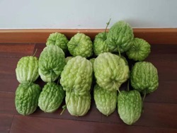 图片说明