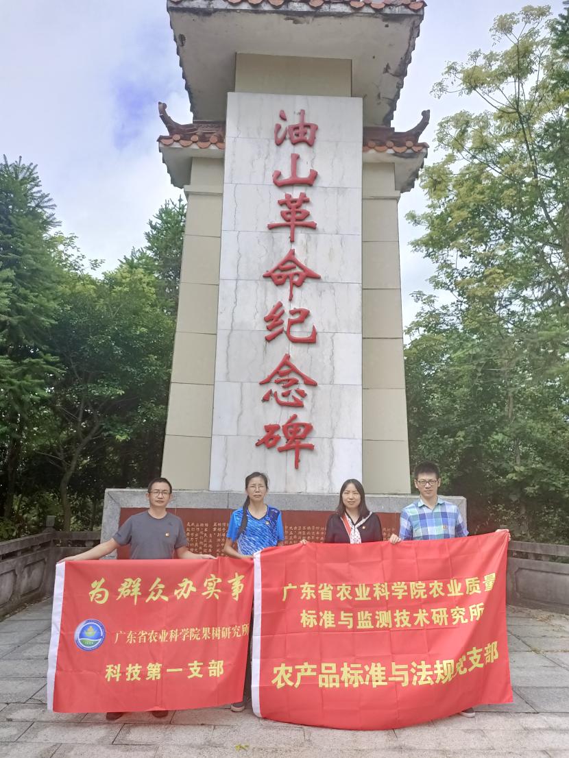 图片说明