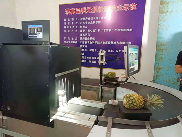 图片说明