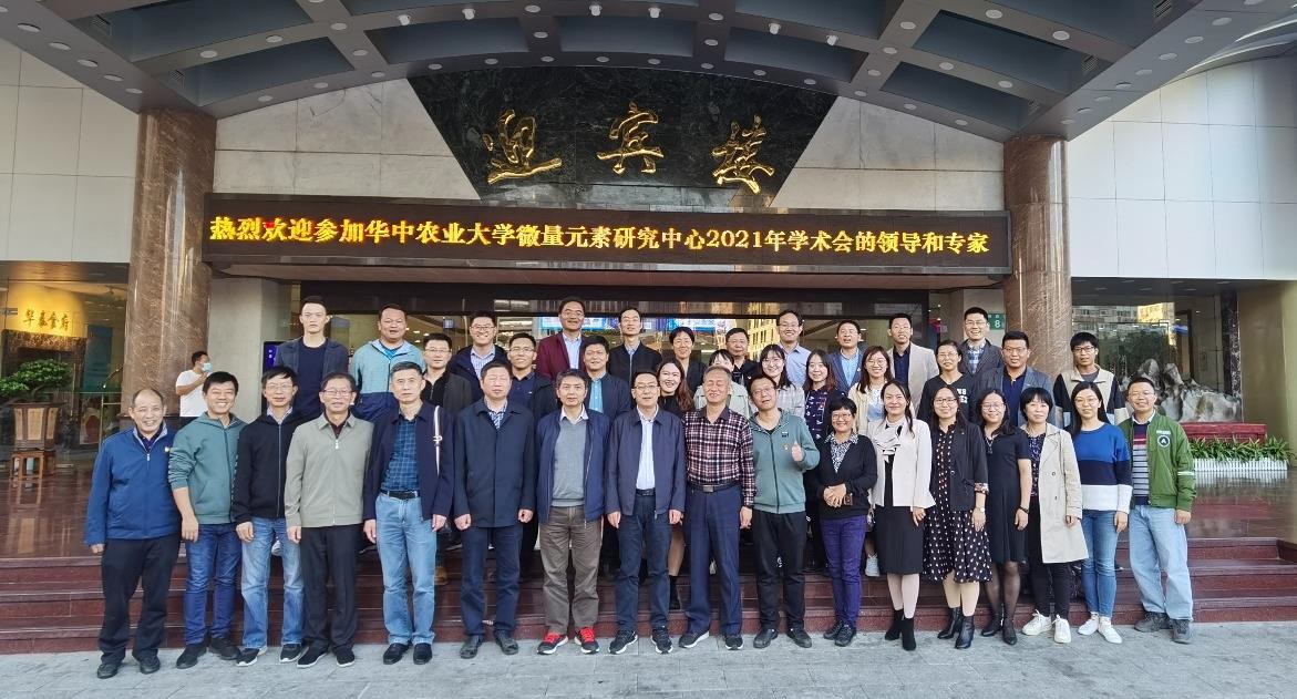 图片说明