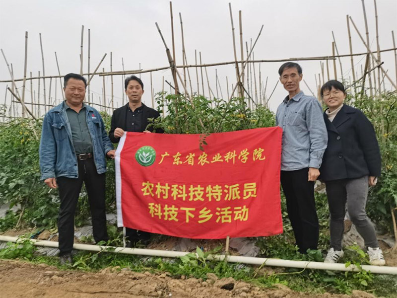 图片说明