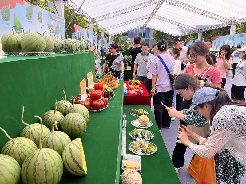 图片说明