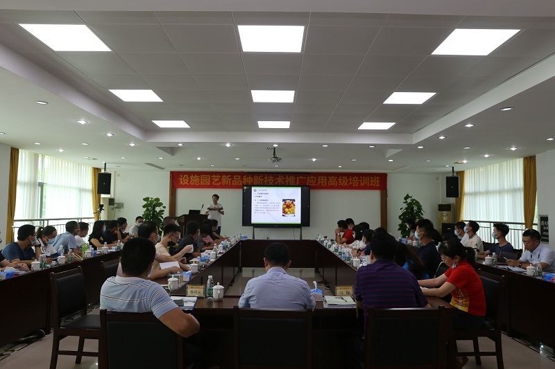 图片说明