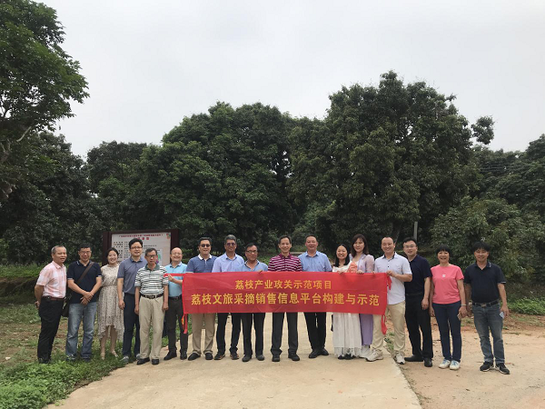 图片说明