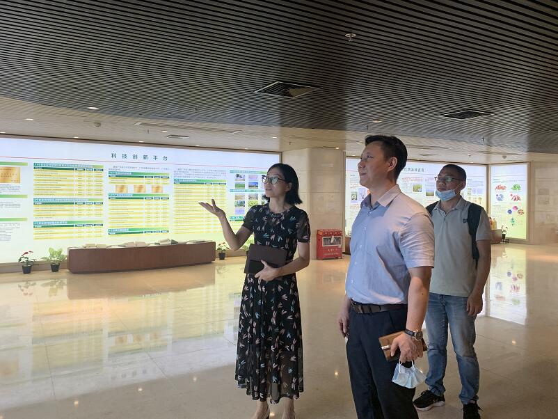 图片说明