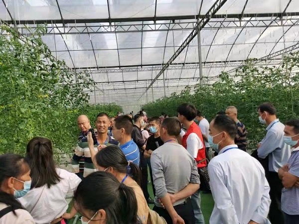 图片说明
