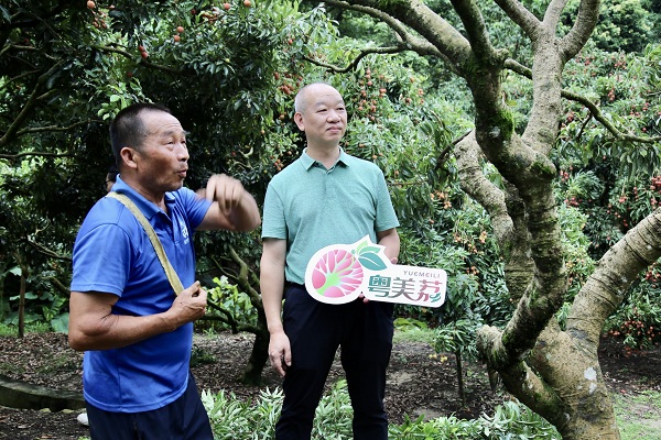 图片说明