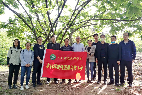 图片说明