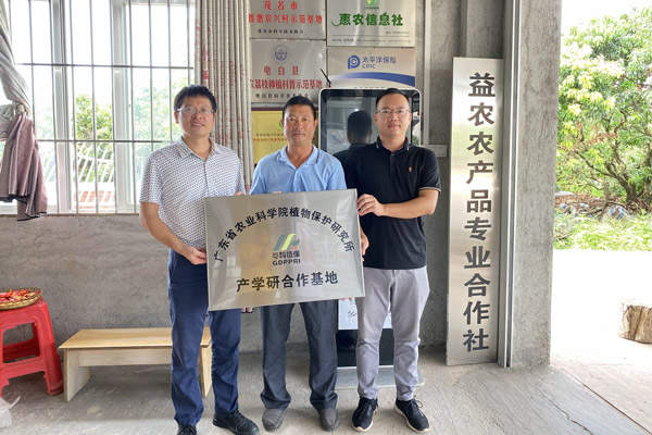 图片说明