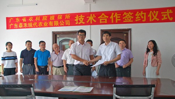 图片说明