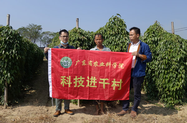 图片说明