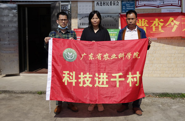 图片说明