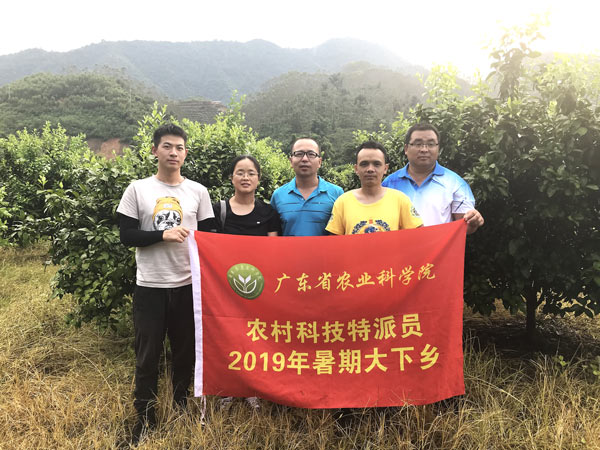 图片说明