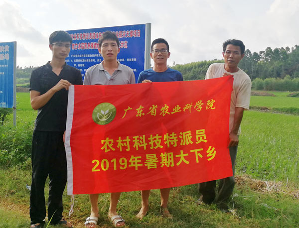 图片说明