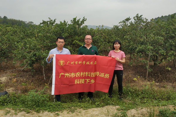 图片说明