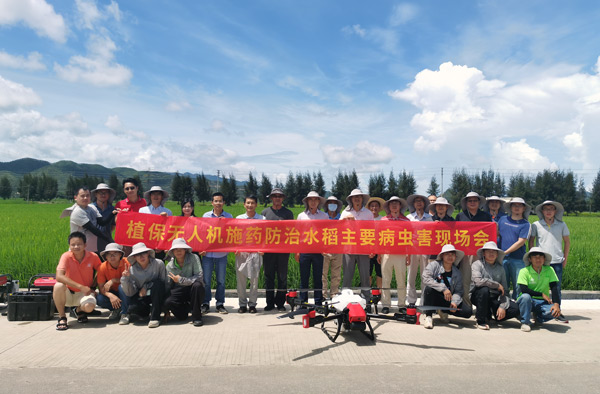 图片说明