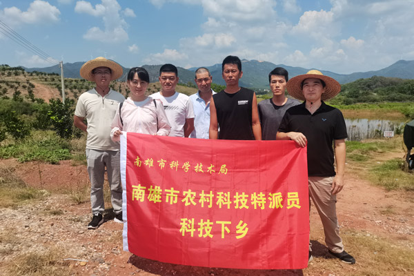 图片说明