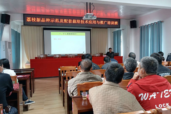 图片说明