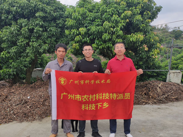 图片说明