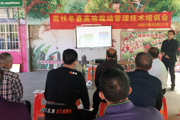 图片说明