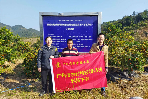 图片说明