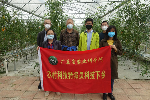 图片说明