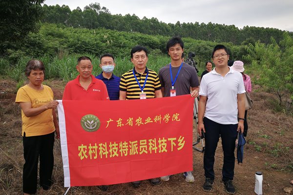 图片说明