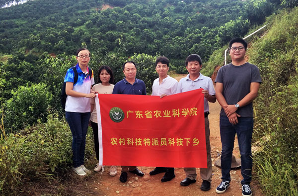 图片说明