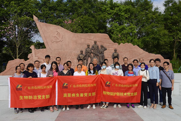 图片说明