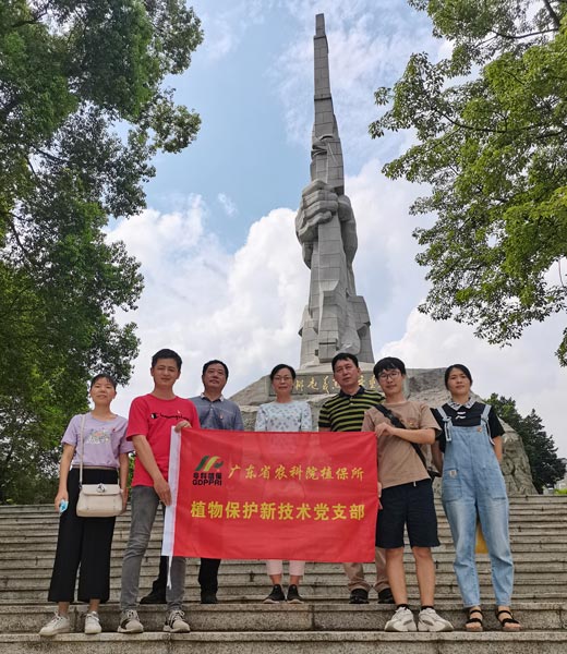 图片说明