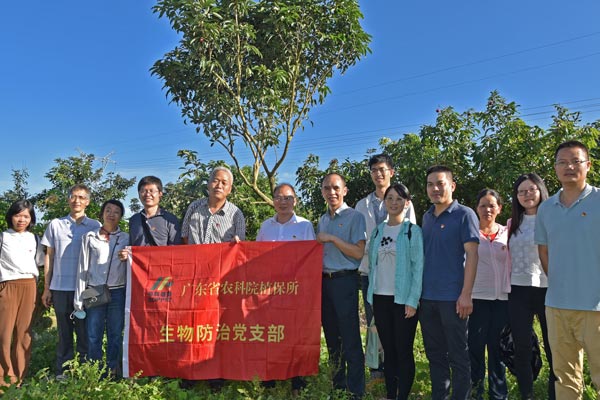 图片说明