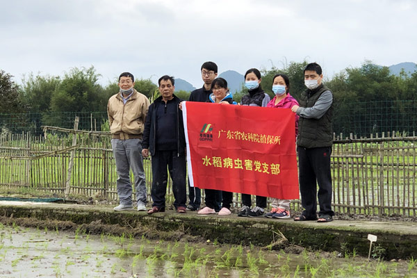 图片说明